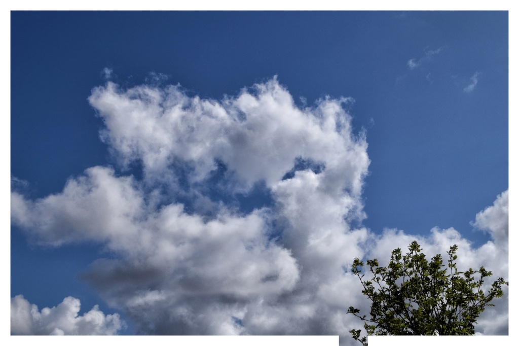 clouds-150523-0327-bird-outline
Cloud Photographer
Cloud Photography By Robert Ireland Contemporary Artist