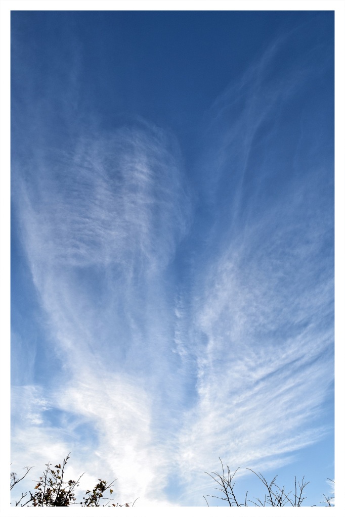 moving images moving planet
Cloud Photographer
Cloud Photography By Robert Ireland Contemporary Artist